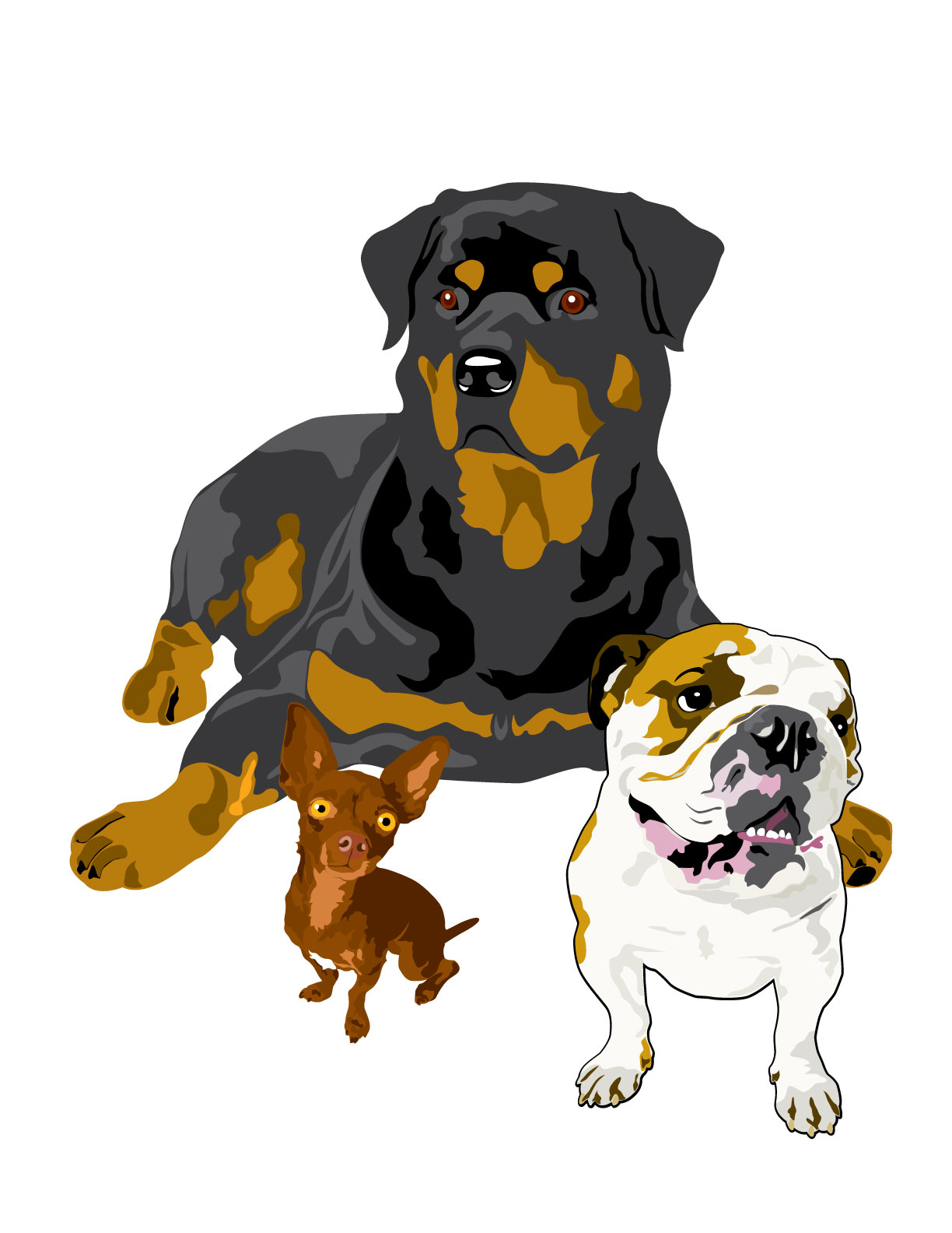 Cães