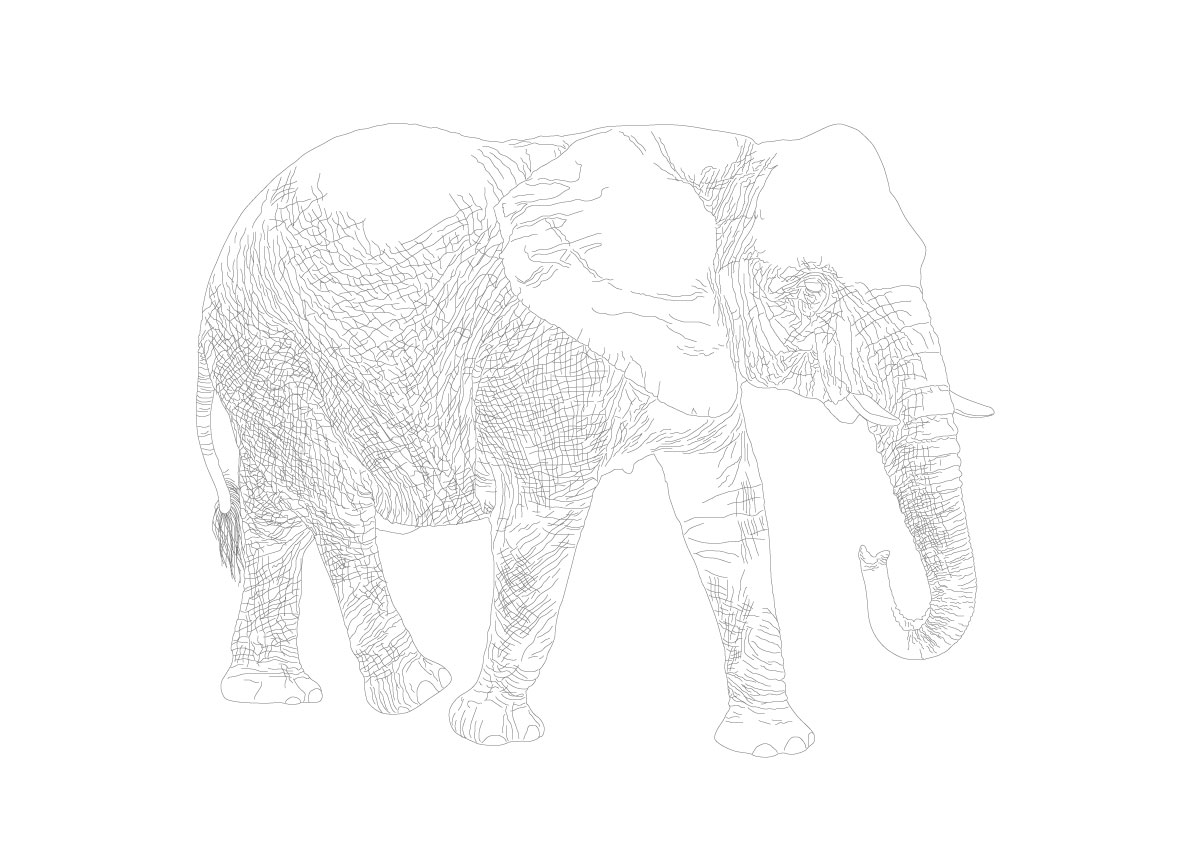 Elefante